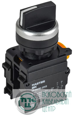 Переключатель 3 полож. 2НО черн. MASTER IEK MI-SW60-20X3-5-24-3-K02