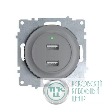Розетка USB 2-м СП Florence 16А IP20 с подсветкой механизм сер. (1E10351302) OneKeyElectro 2260091
