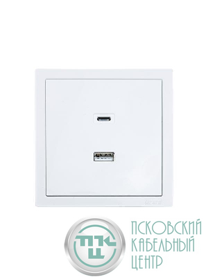 Розетка Type-C+ USB разъем СП ZIMA IP20 бел. LEZARD 704-0288-192TC