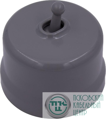 Выключатель 1-кл. (тумблерный) пластик титан Bironi B1-230-26
