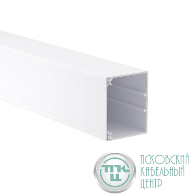 Кабель-канал 100х80 L2000 пластик TA-GN DKC 01790