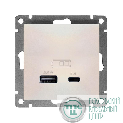 Розетка 2-м USB СП Афина тип А+С 5В 1х2.4А 2х4А механизм жемчуж. Universal А0059-OBr