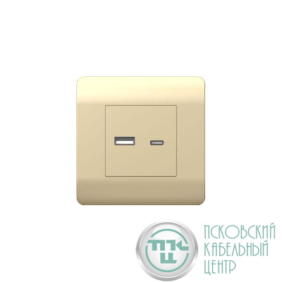 Розетка USB NEW3-E тип A+C 5В/2.1А шампань CHINT 431450