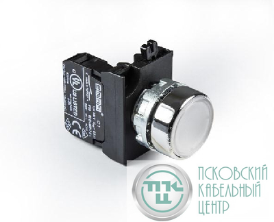 Кнопка нажимная круглая CM100DB (1НО) бел. EMAS CM100DB