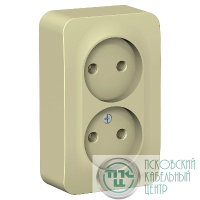 Розетка 2-м ОП Blanca 16А IP20 250В без заземл. без защ. шторок с изолир. пластиной беж. SE BLNRA000217