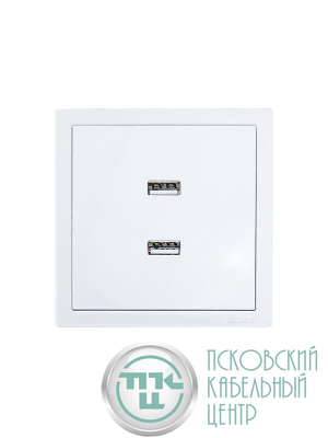 Розетка 2-мест. USB разъем СП ZIMA IP20 бел. LEZARD 704-0288-192