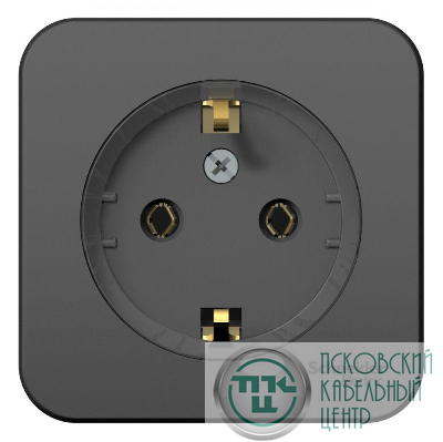 Розетка 1-м ОП Blanca 16А IP20 250В с заземл. без защ. шторок с изолир. пластиной (компакт) антрацит SE BLNRA110116