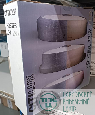 Светильник Фостер-1 настенно-потолочный матов. хром CITILUX CL706111