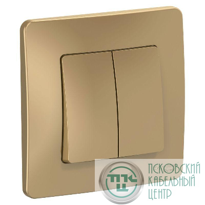 Выключатель 2-кл. СП Blanca 10А IP20 (сх. 5) 250В титан SE BLNVS010504