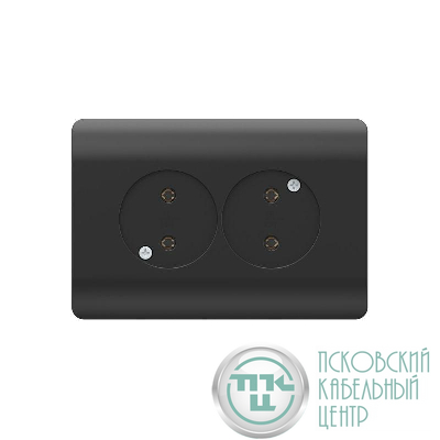 Розетка 2-м NEW3-E без заземл. защ. шторки 16А черн. CHINT 431492