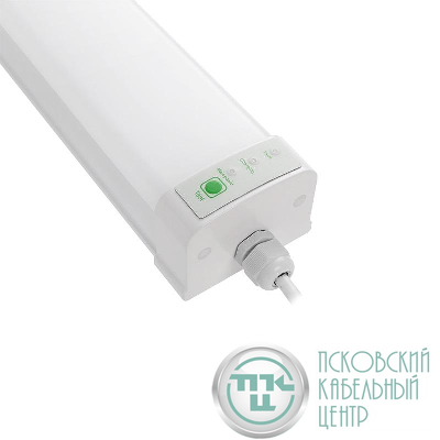 Светильник светодиодный PWP-C3-E1 600 18Вт 4000К IP65 2160лм с БАП ДСП Pro+ JazzWay 5065222