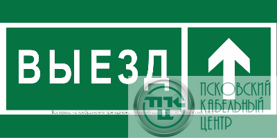Знак безопасности BL-3517.N06 "Направление к воротам выезда прямо" Белый свет a20076