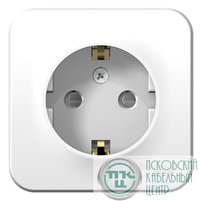Розетка 1-м ОП Blanca 16А IP20 250В с заземл. защ. шторки с монтаж. пластиной бел. SE BLNRA011121