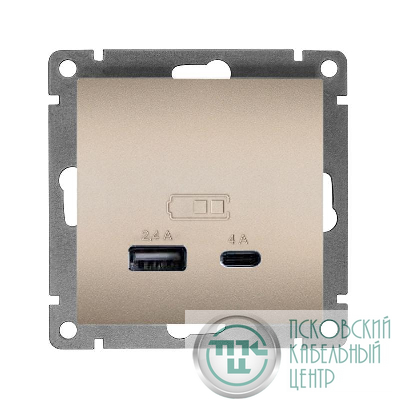 Розетка 2-м USB СП Афина тип А+С 5В 1х2.4А 2х4А механизм шампань Universal А0059-Br