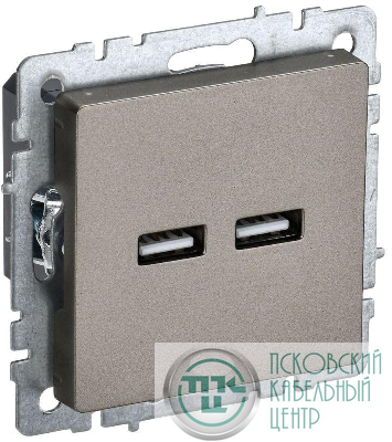 Розетка BRITE USB A+A 3.1А РЮ10-1-БрШ механизм шампань IEK BR-U21-D31-K37
