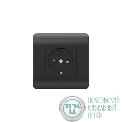 Розетка NEW3-E 16А с заземл. защ. шторки черн. CHINT 431484
