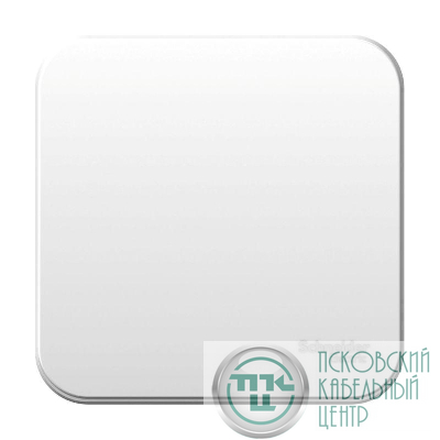 Выключатель 1-кл. ОП Blanca 10А IP20 (сх. 1) 250В с изолир. пластиной бел. SE BLNVA101011