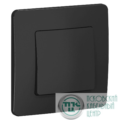 Выключатель 1-кл. СП Blanca 10А IP20 (сх. 1) 250В антрацит SE BLNVS010106