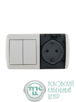 Блок ОП Nata (розетка евростандарт с заземл. с защ. крышкой + 2-кл. выкл.) IP20 бел. LEZARD 710-0200-171