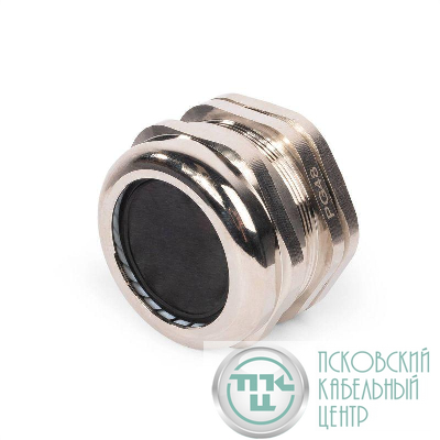Ввод кабельный латунный PGM 48 (37-44мм) (уп.2шт) Fortisflex 88009