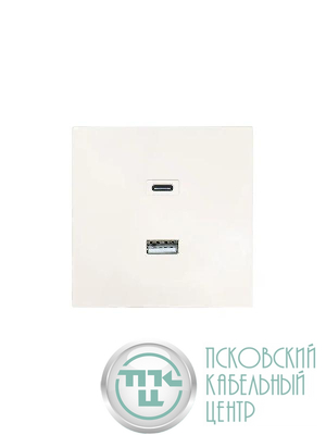 Розетка Type-C+ USB разъем СП ZIMA IP20 слон. кость LEZARD 704-9088-192TC