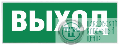 Этикетка самоклеящаяся "Выход" SSA-101 INFO-SSA-111 ЭРА Б0048480