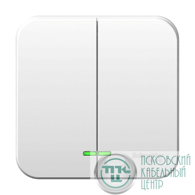 Выключатель 2-кл. ОП Blanca 10А IP20 (сх. 5) 250В с подсветкой с изолир. пластиной бел. SE BLNVA105111