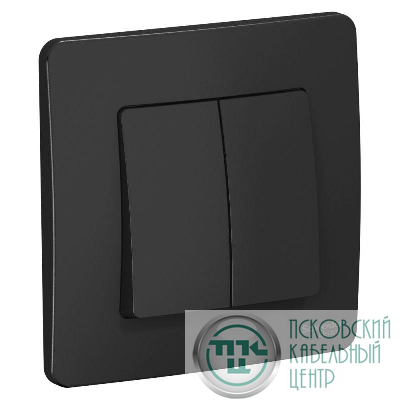 Выключатель 2-кл. СП Blanca 10А IP20 (сх. 5) 250В антрацит SE BLNVS010506