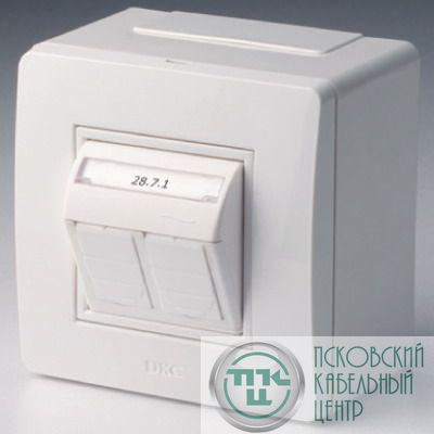Коробка PDD-N60 с 2 розетками Brava RJ45 кат.5E (телефон/компьютер) бел. DKC 10656