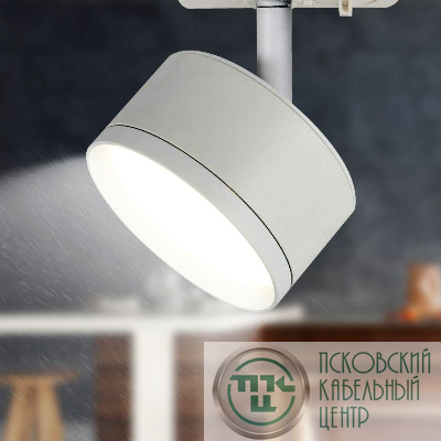 Светильник трековый TR48 GX53 1ф WH матов. бел. Эра Б0054158