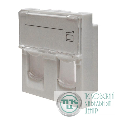 Панель лицевая 2 порта 45х45 Keystone шторки откидное маркиров. окно (DIY) SUPRLAN 10-0302-1
