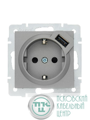 Розетка 1-м СП Vesna с заземл. с заряд. устройством USB механизм платина LEZARD 742-3588-181
