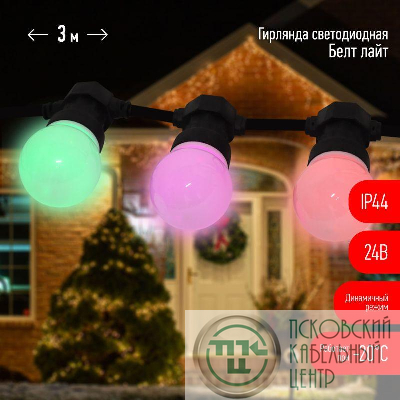 Гирлянда "Белт Лайт" 3м 10LED RGB шаг 30см мультиколор 24В каучуковая изоляция IP44 динамич.режим с контроллером и трансформ. ЭРА Б0047957