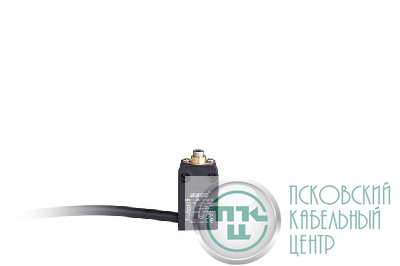 Выключатель концевой L66K13PUM211 EMAS L66K13PUM211