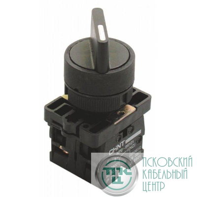Переключатель NP2-ED33 3 положения 2НО IP40 с фиксацией (R) CHINT 574098