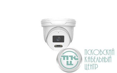 Камера видеонаблюдения сетевая RS T 1228 FP WH 94х108х108мм 2Мп f=2.8 IP66 купольная бел. Русский Свет 37411650054