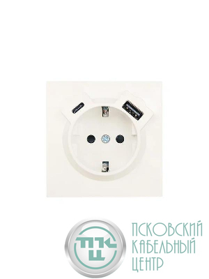 Розетка 1-мест. с/з Type-C+USB разъем СП ZIMA IP20 слон. кость LEZARD 704-9088-181TC