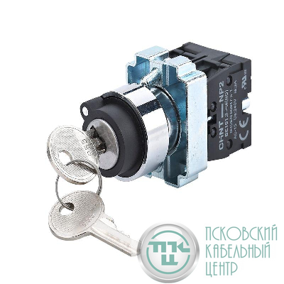 Переключатель NP2-BG25 2 положения фиксацией 1НО+1НЗ IP40 (R) CHINT 573988