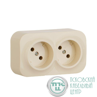 Розетка 2-м ОП Quteo 16А IP20 без заземл. сл. кость Leg 782242