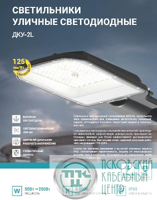Светильник уличный линзованный светодиодный ДКУ-2L 70Вт 230В 5000К 8750лм 125лм/Вт 42-48мм IP65 NEOX 4690612057088