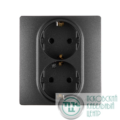 Розетка 2-м СП Etika 2К+З 16А защ. шторки с заземл. безвинт. зажимы в сборе антрацит Leg 672633