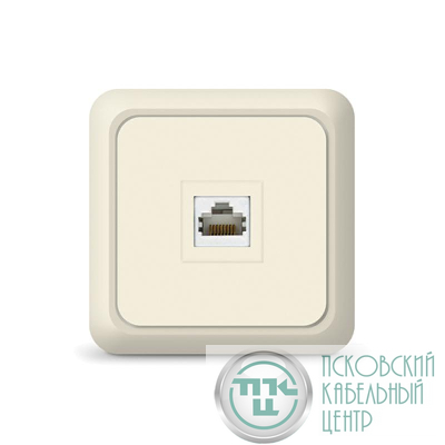 Розетка компьютерная 1-м Олимп сл. кость UNIVersal 1073