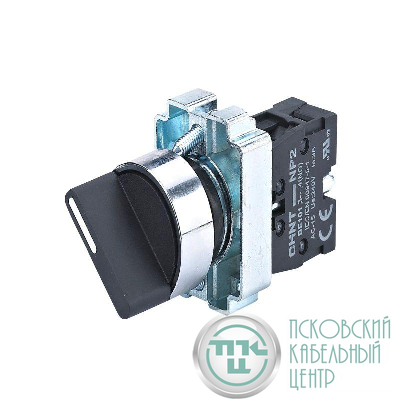 Переключатель NP2-BD21 2 положения фиксацией 1НО IP40 (R) CHINT 573977