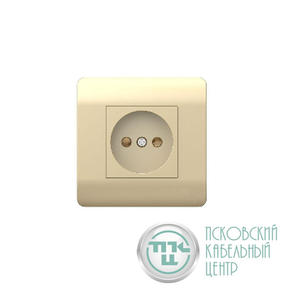 Розетка NEW3-E 16А без заземл. защ. шторки шампань CHINT 431408