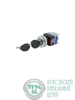 Переключатель ВК30-10YA/21 IP65 1НО на 2 положения замок с ключом I-O d30мм Электротехник ET219208