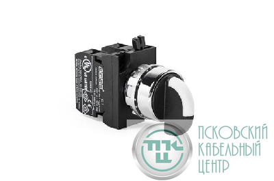 Переключатель 2-0-1 без фиксации (2НО) EMAS CM101S32