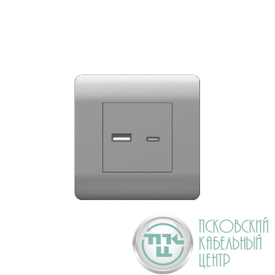 Розетка USB NEW3-E тип A+C 5В/2.1А серебр. CHINT 431451
