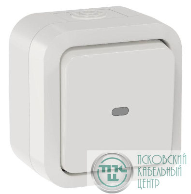Переключатель 1-кл. ОП TORS 10А IP55 TS302 с индикацией бел. IEK TS-V10-1-10-55-K01