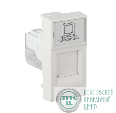 Розетка компьютерная 1-м RJ45 1А IP20 45х22.5 модульная бел. Ruvinil АДЛ 13-902