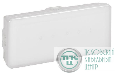 Светильник погодоустойчивый светодиодный эвакуационный B65 LED 1 час - 100лм постоянного/непостоянного действия Leg 661431